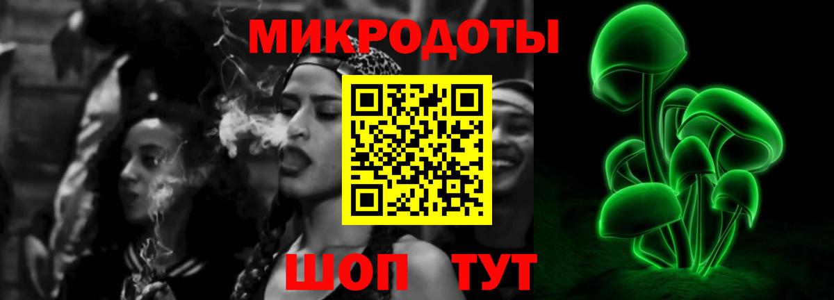 Галлюциногенные грибы Psilocybine cubensis  Вход с VPN  Псилоцибиновые грибы Cubensis  Ижевск 